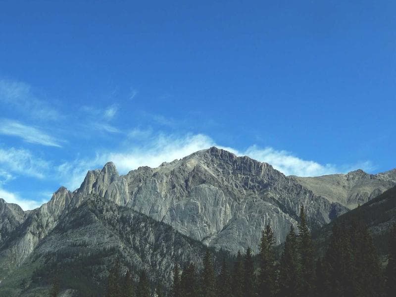 Cotton Candy Machine