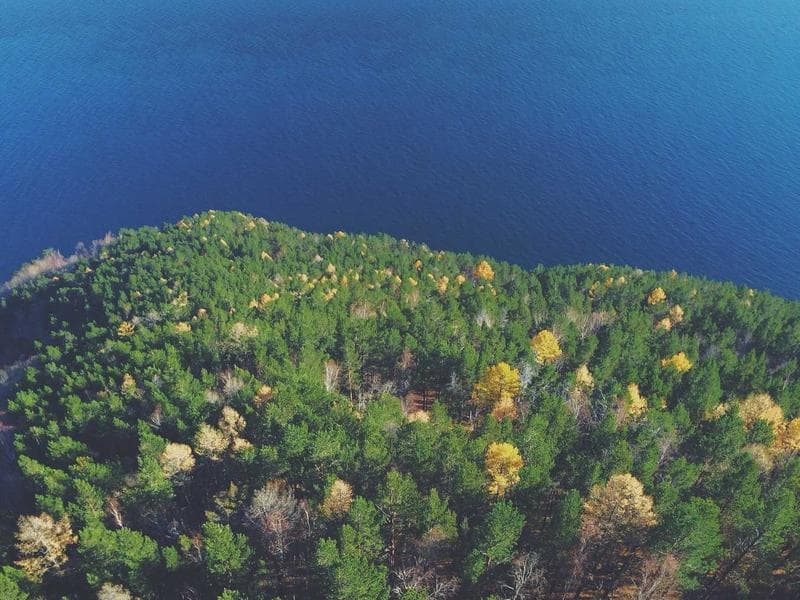 DJ Controller + Speakers Set