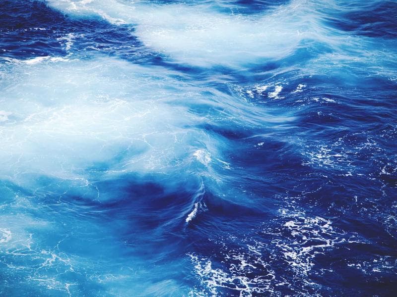 Weber Genesis II Gas Grill