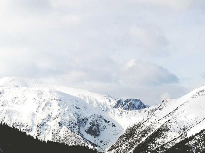 Camping Tent 4-Person